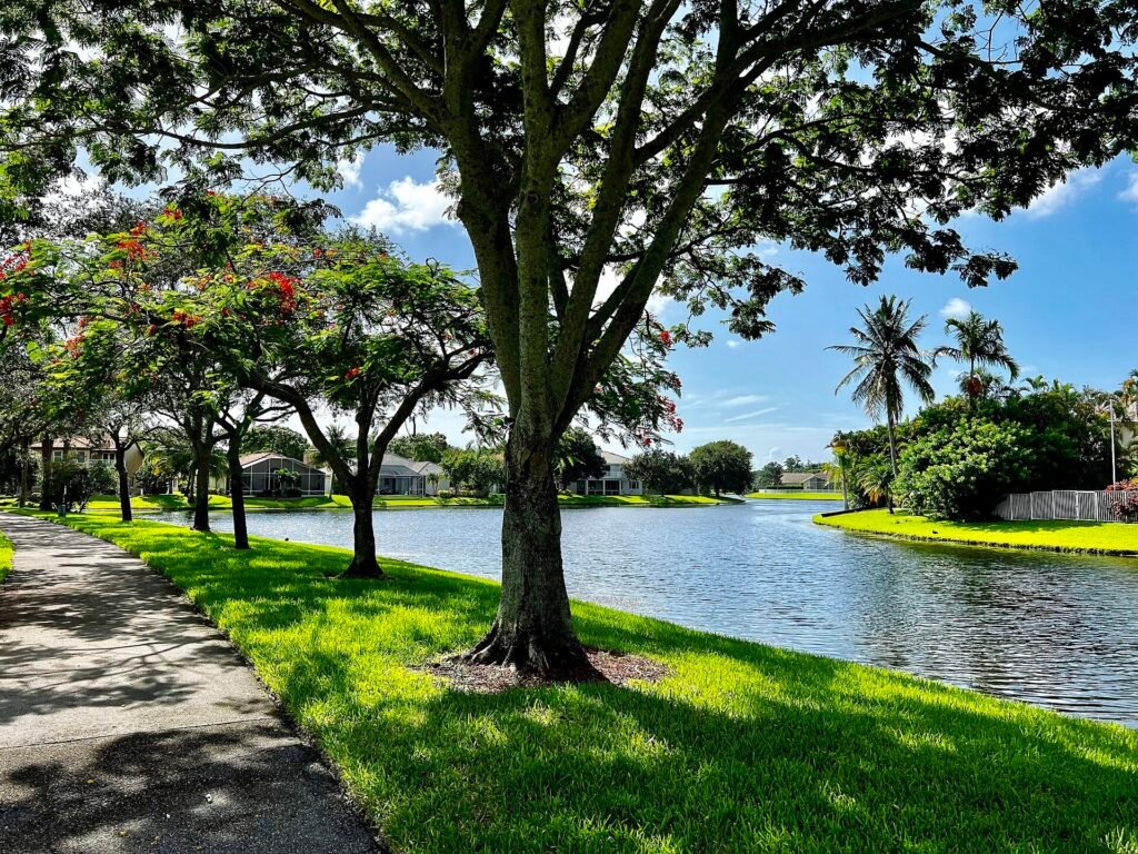Typical neighborhood in Coconut Creek