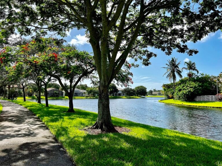 Typical neighborhood in Coconut Creek