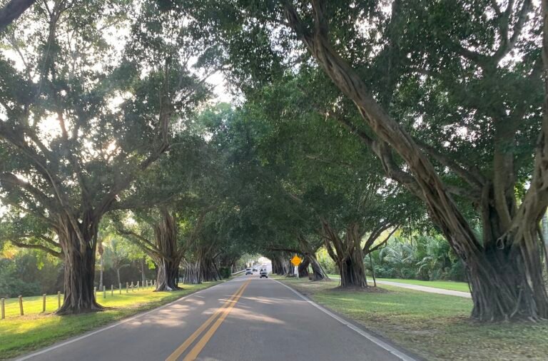 SE Bridge Road on Jupiter Island, approaching the Bridge Road Drawbridge.