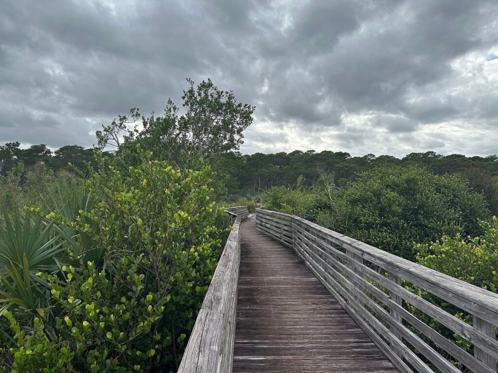Jupiter Ridge Natural Area