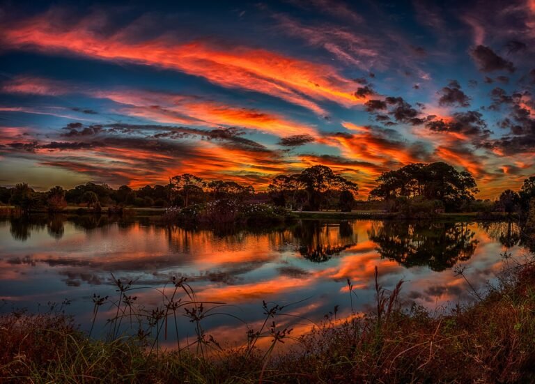 Panoramic sunrise over Venice Rookery