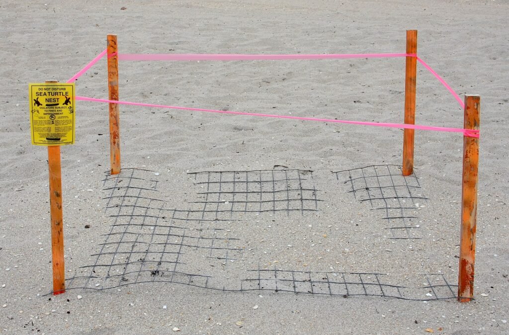A sea turtle nest protected by a metal mesh in Boca Raton, Florida.