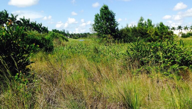 Tamarac, FL, USA
