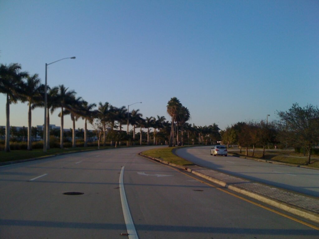 Stromořadí v Broward County na Floridě