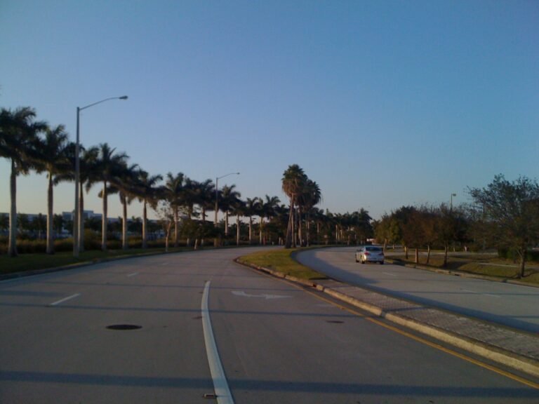 Stromořadí v Broward County na Floridě